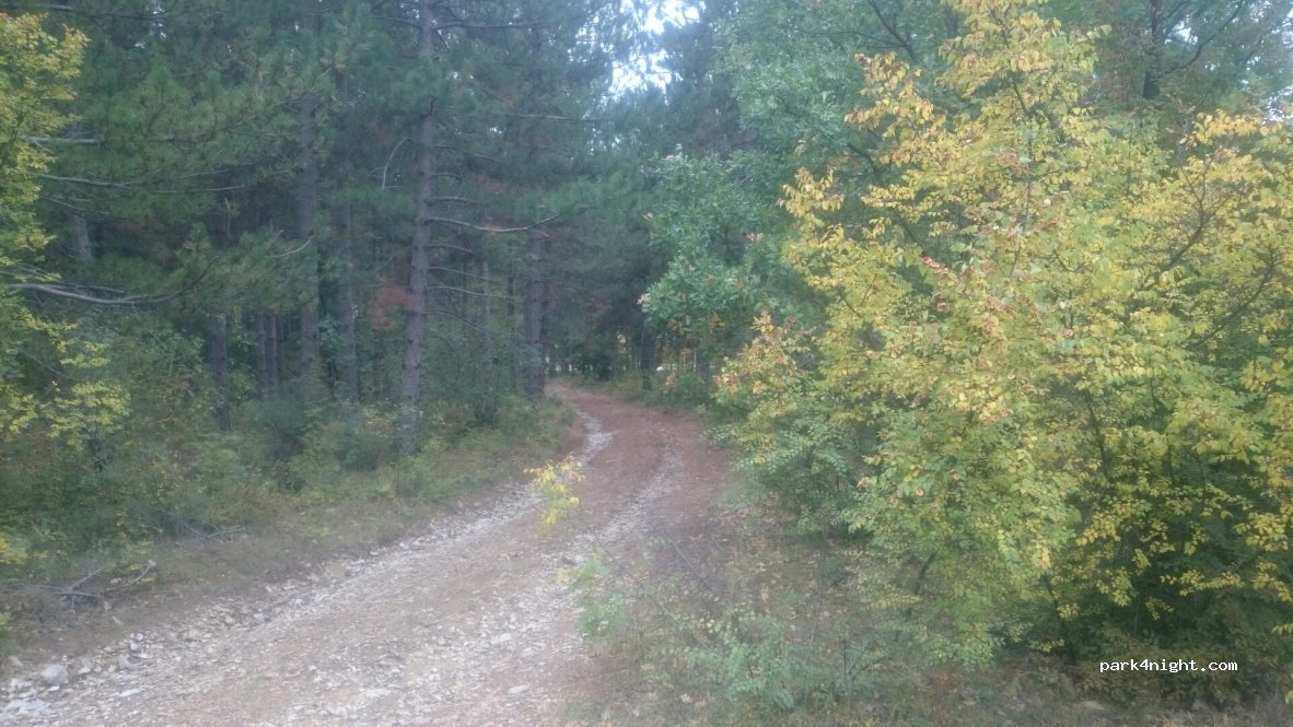 (8434) Kamchia - 7305 — foto 2