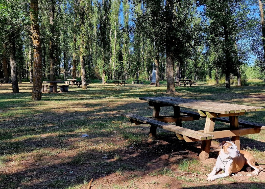 (42200) Almazán - 5 Paseo de la Arboleda — foto 4