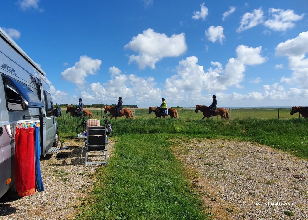 Kommandørgårdens Camping — foto 2