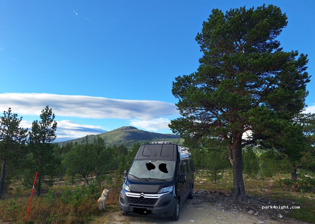(2476) Atna - 1 Sekundær Fylkesveg 385 — foto 4