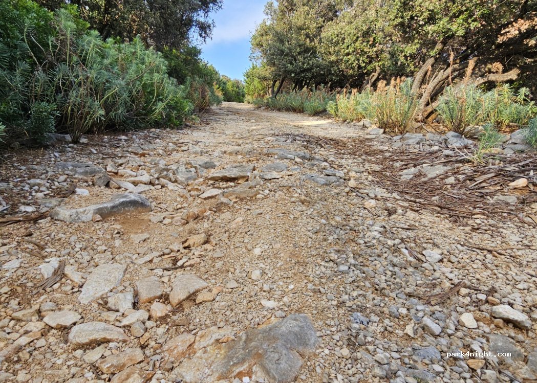 (51554) Nerezine - Unnamed Road — foto 3