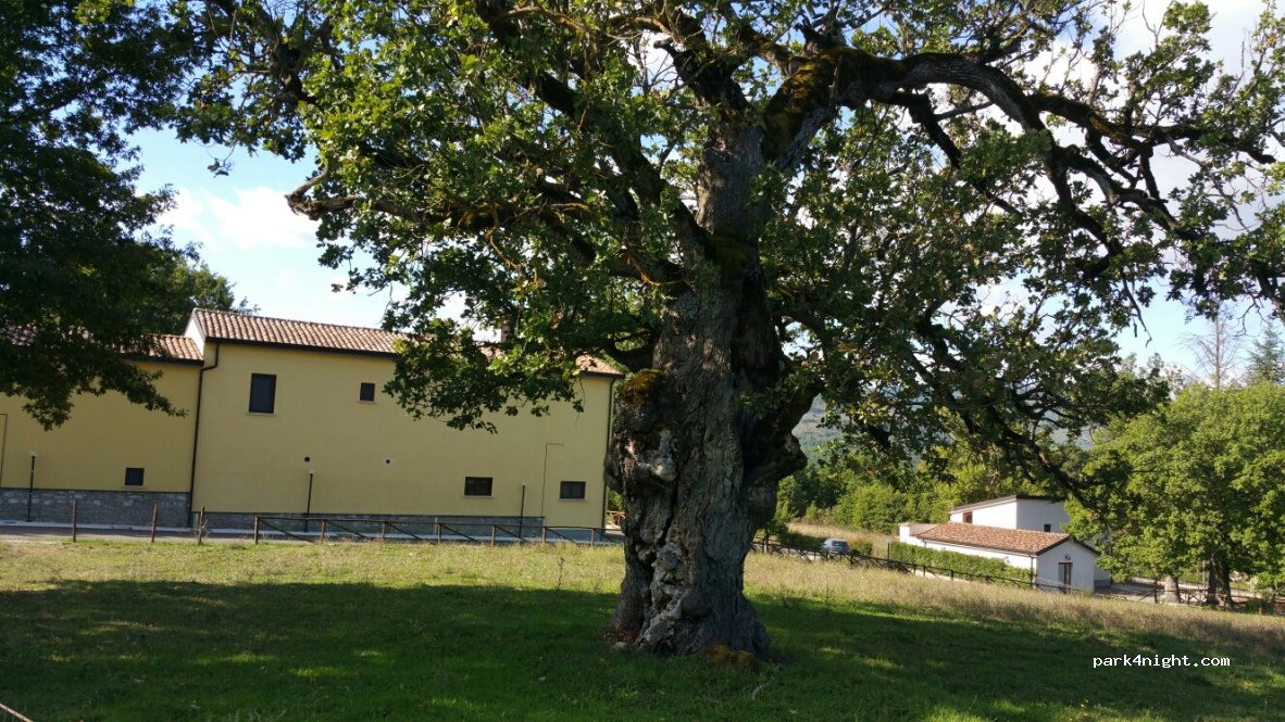 (85050) Grumento - Strada Provinciale 103 — foto 2