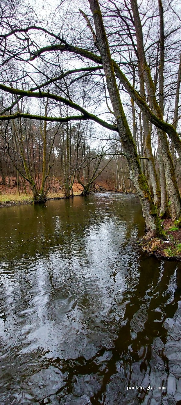 (73-220) Bogdanka - — foto 3