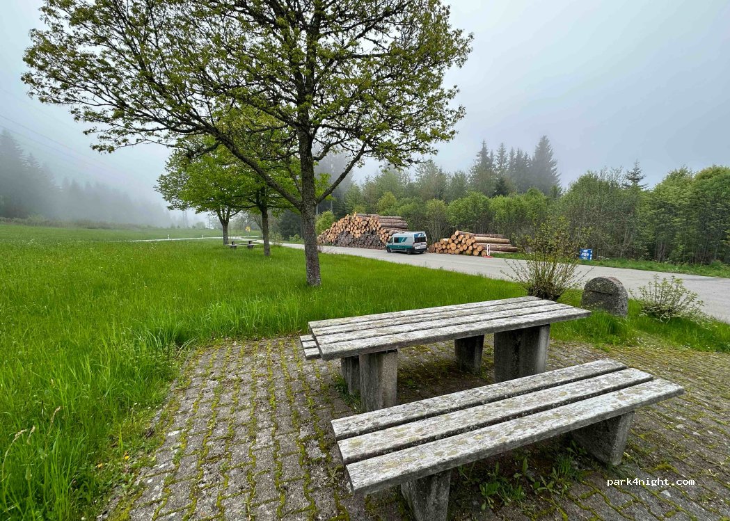 (78098) Triberg im Schwarzwald - — foto 2