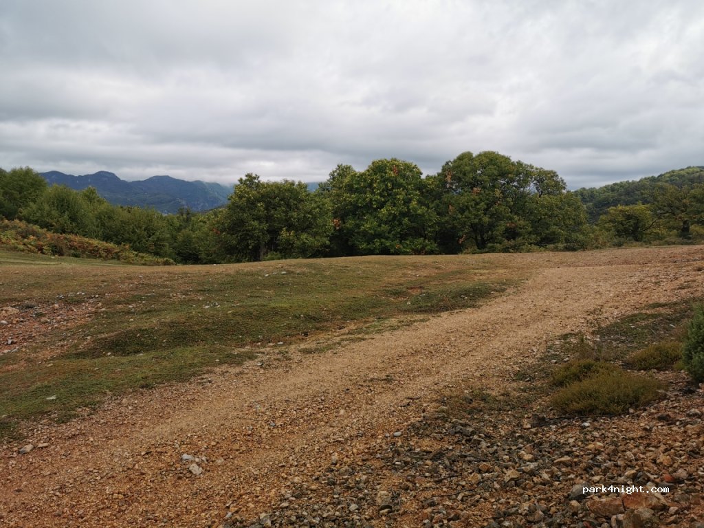()  - Drisht- Logu i Gegajve — foto 2