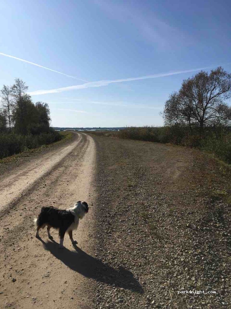 (4631)  - Unnamed Road — foto