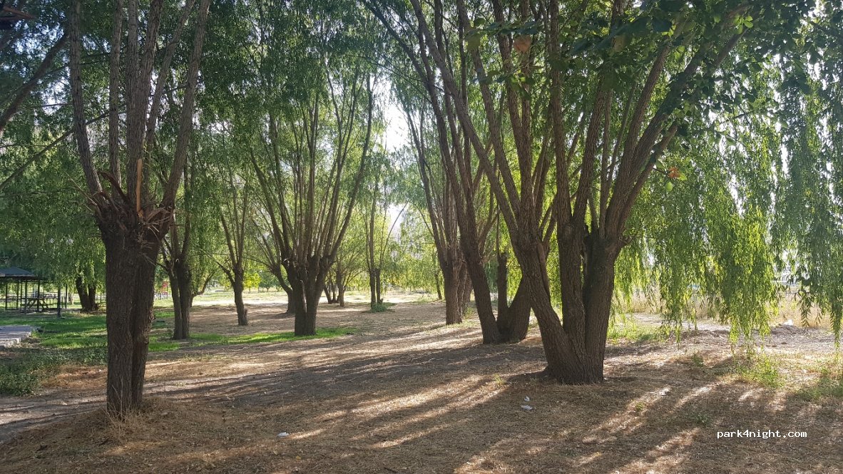 (24002)  - Ekşisu Mesire Alanı Park İç Yolu — foto 2