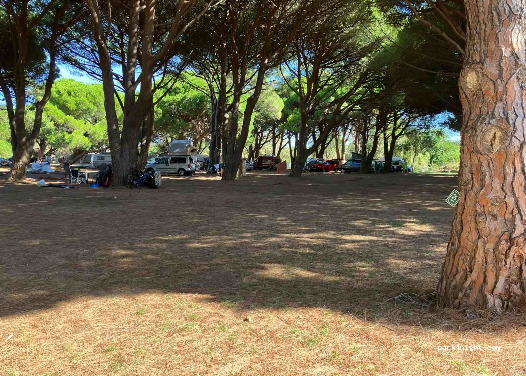 Camping de la Plage — foto 2