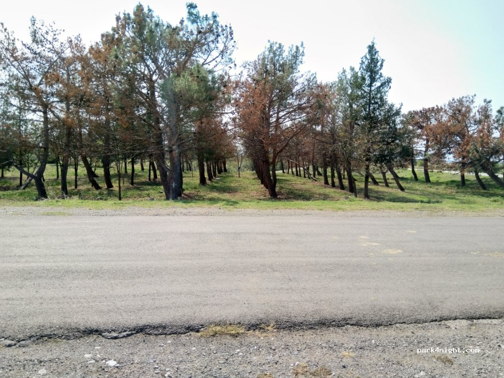 () Lemshveniera - Rustavi-Jandara 12th km.-David Gareji Monastery — foto 2