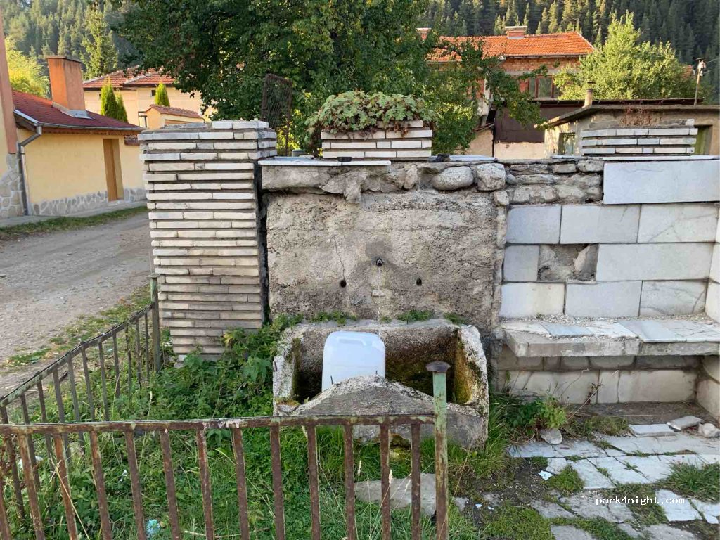 (2020) Govedartsi - 56 6206 — foto