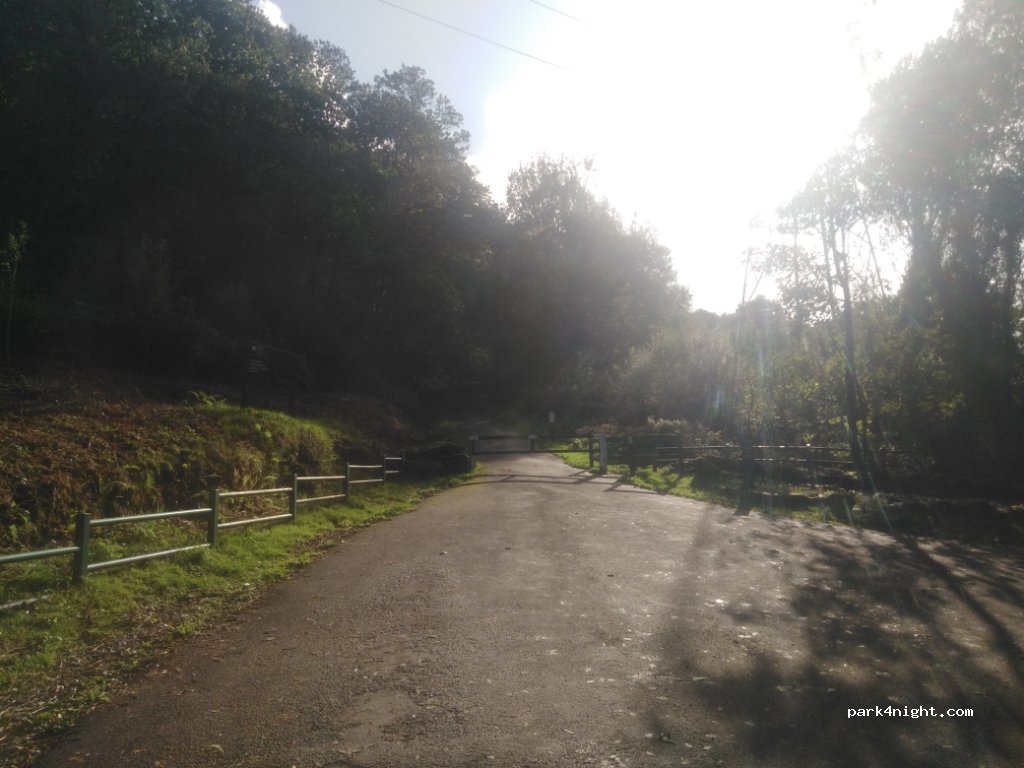 Briton ferry wood Car Park — foto
