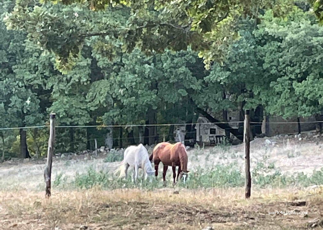 Scuderie del Peschio — foto 2