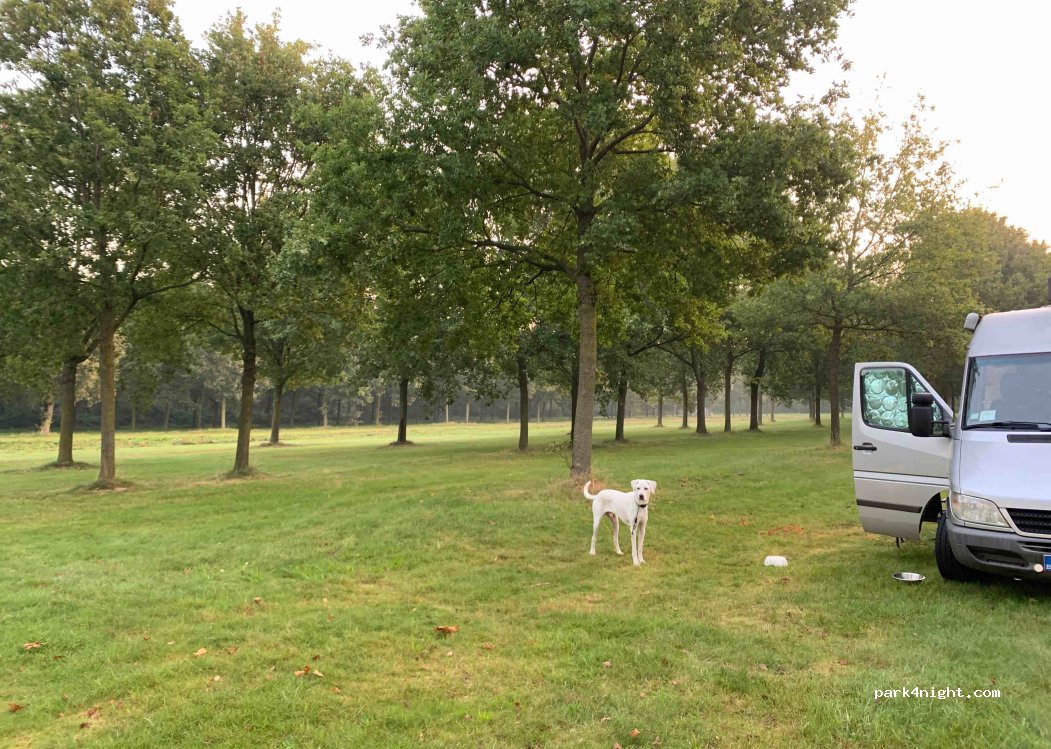 (7828) Emmen - Grote Rietplas — foto 3
