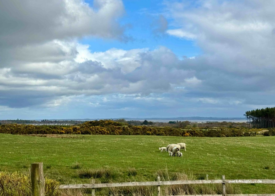 Dornoch Croft Holidays — foto 4
