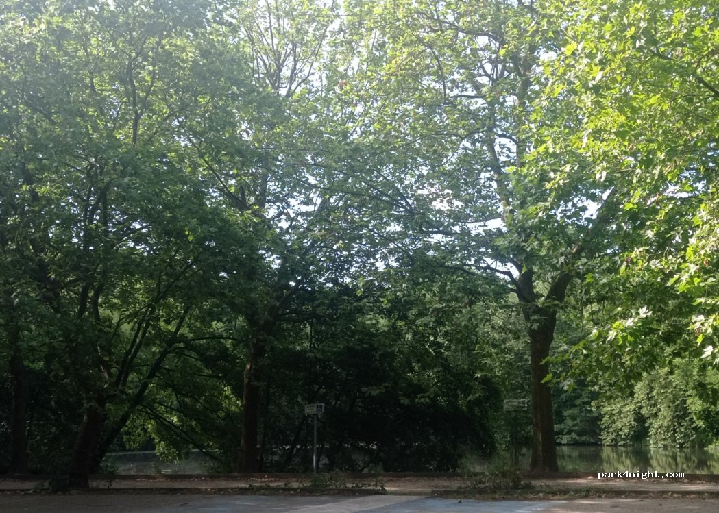 (92360) Meudon - 1 Route de l'Étang de Trivaux — foto 4