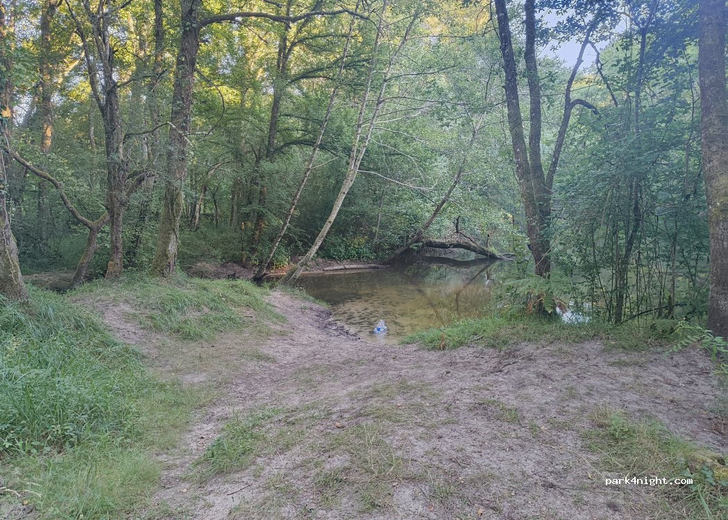 (33430) Bernos-Beaulac - 17 Chemin du Martinet — foto 2