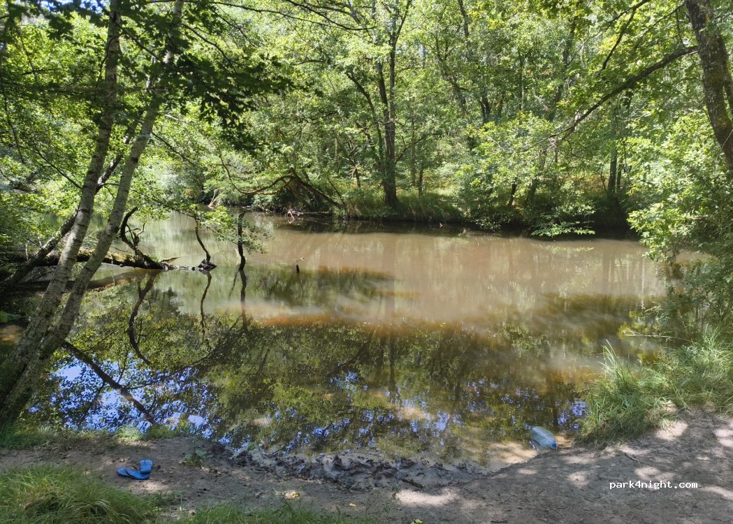 (33430) Bernos-Beaulac - 17 Chemin du Martinet — foto 3