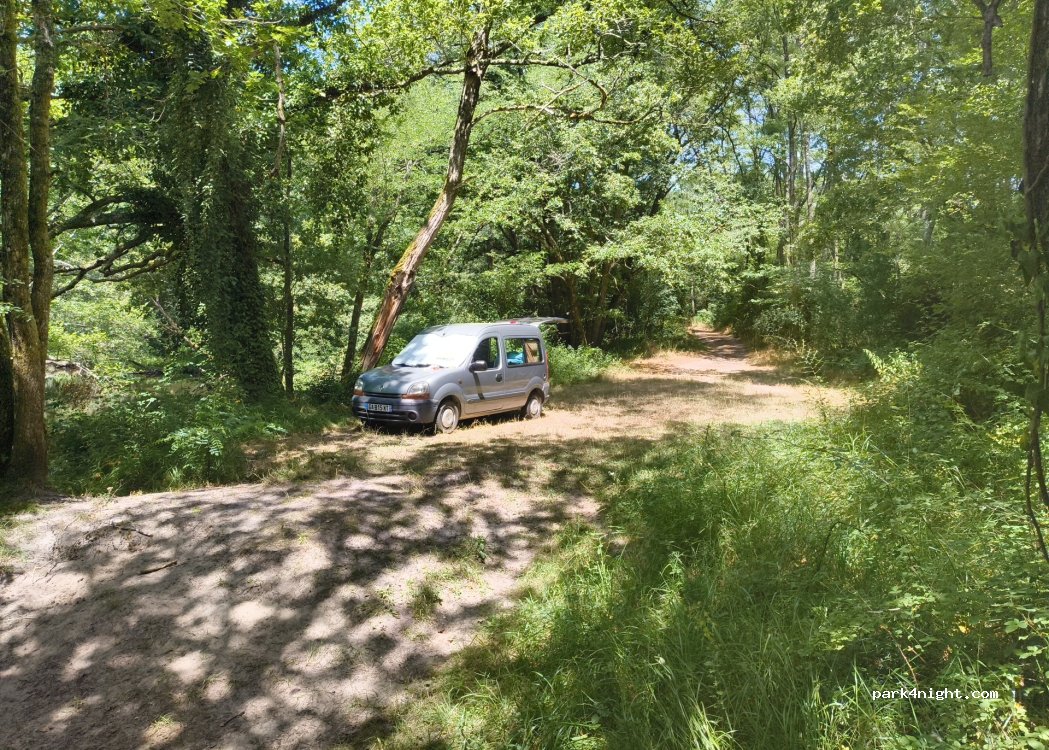 (33430) Bernos-Beaulac - 17 Chemin du Martinet — foto 4