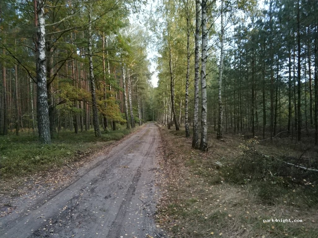 (42-282) Wikłów - Unnamed Road — foto 2