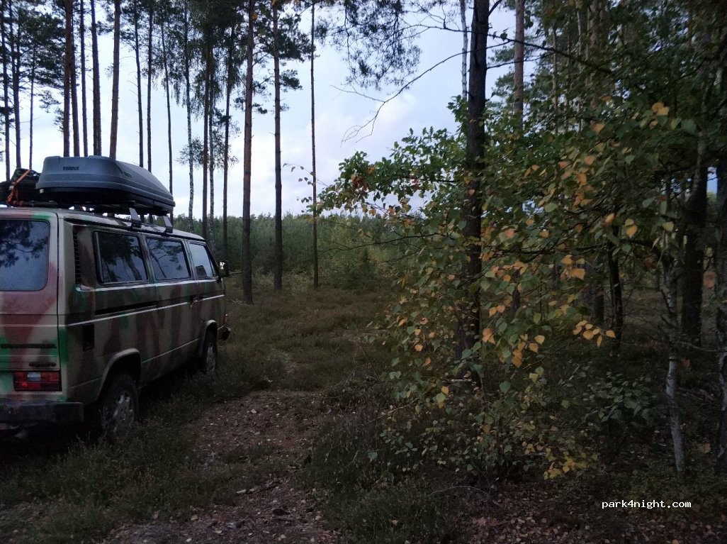 (42-282) Wikłów - Unnamed Road — foto 3