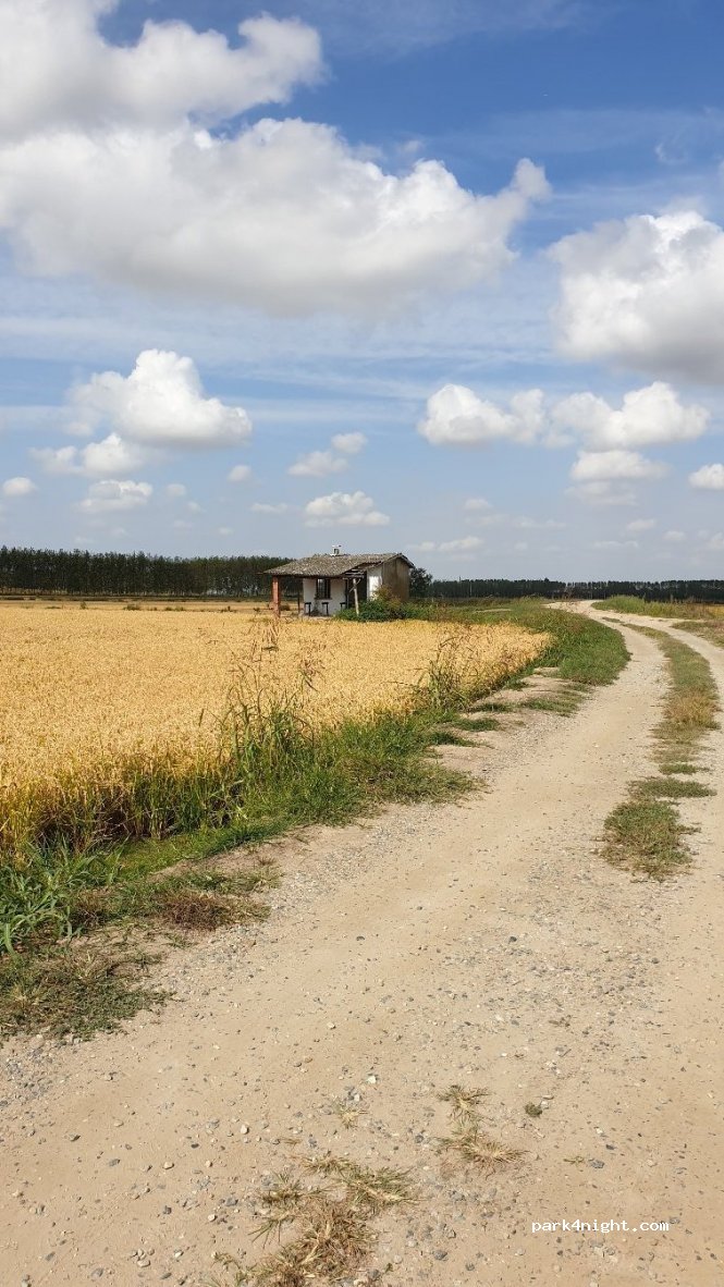 (27030) Palestro - Unnamed Road — foto 2
