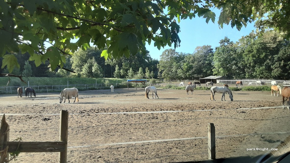 (30459) Hannover - 32 An der Bauerwiese — foto 3