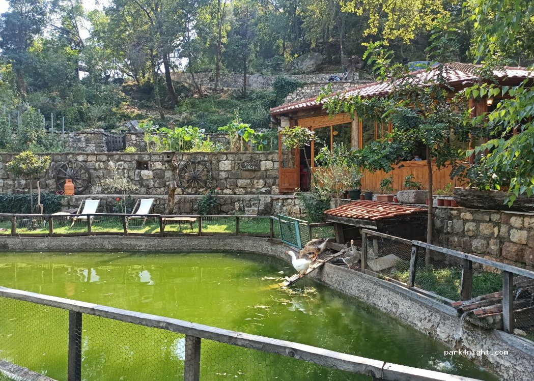 () Podostrog - Krapina — foto 3