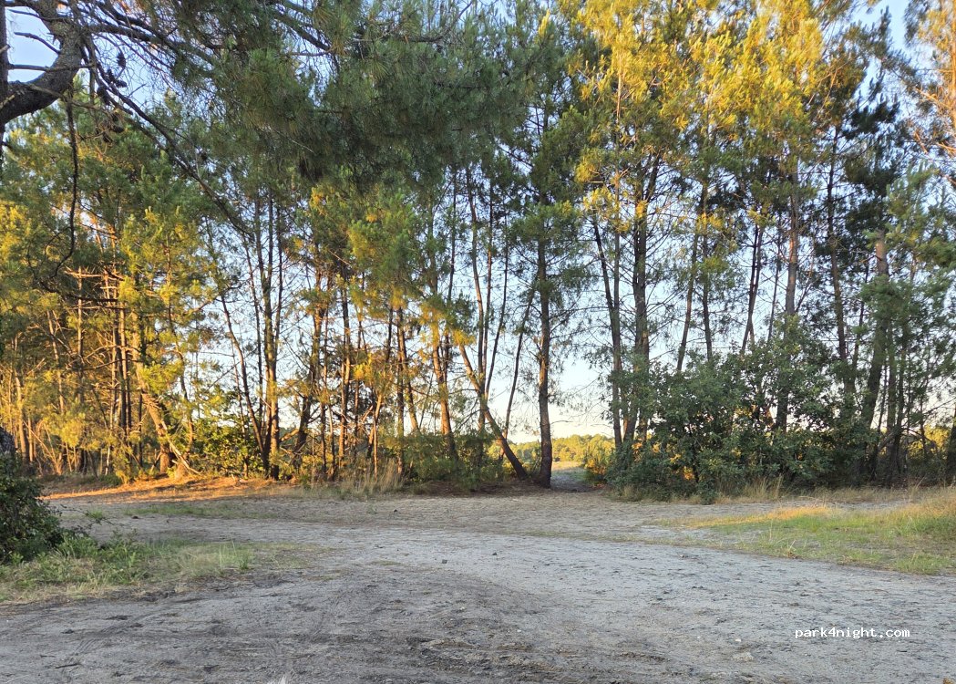 (33470) Le Teich - 6 Rue de Balanos — foto 5