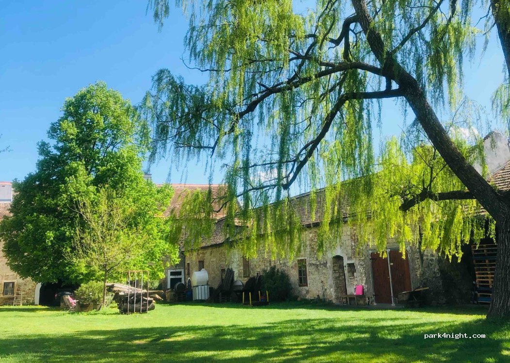 Bioweingut Edelhof — foto 5