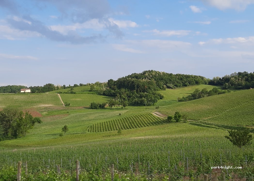 (15030) Sala Monferrato - Strada Provinciale 37 — foto 5