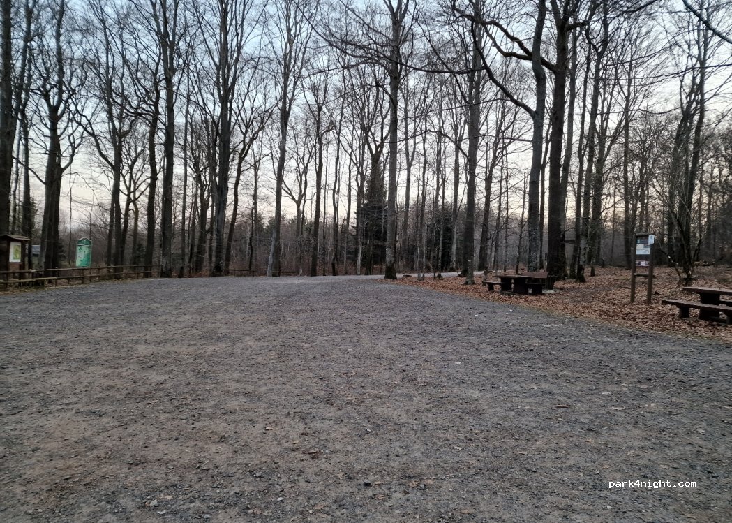 (54497) Morbach - L160 — foto 3