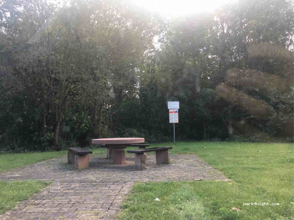 (74722) Buchen - B27 — foto