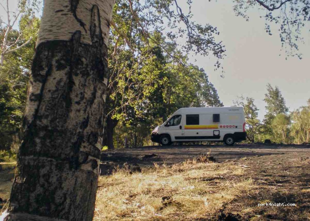 (95015) Linguaglossa - Strada Regionale Mareneve — foto 2