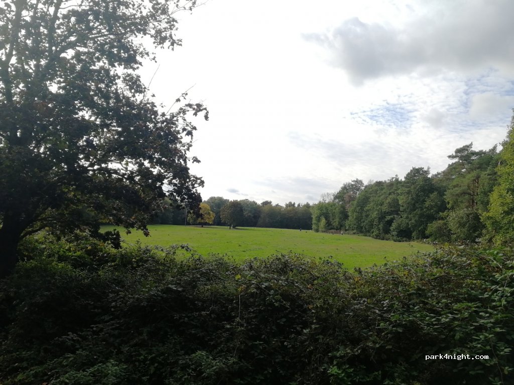 (50321) Brühl - Wasserturmweg — foto