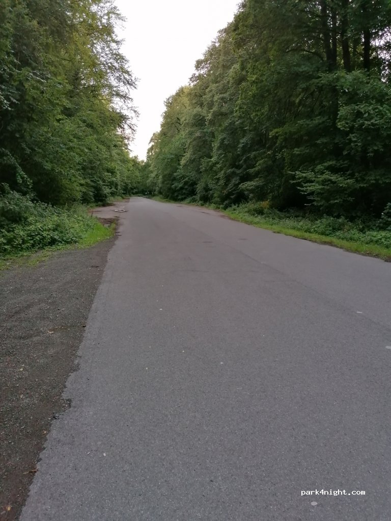 (50321) Brühl - 1 Am Birkhof — foto