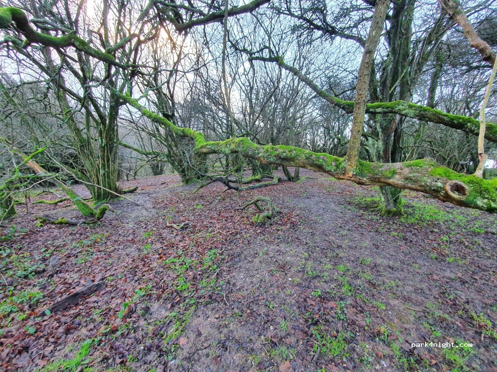 (GU32 1RT)  - Limekiln Lane — foto 2