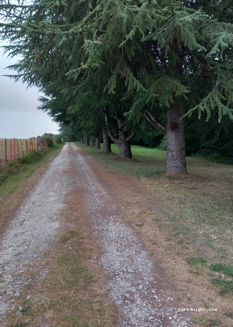 (16320) Villebois-Lavalette - Chemin Louis XIII — foto 4