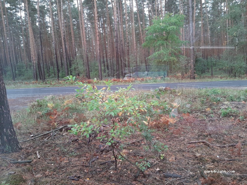 (14548) Schwielowsee - K6907 — foto