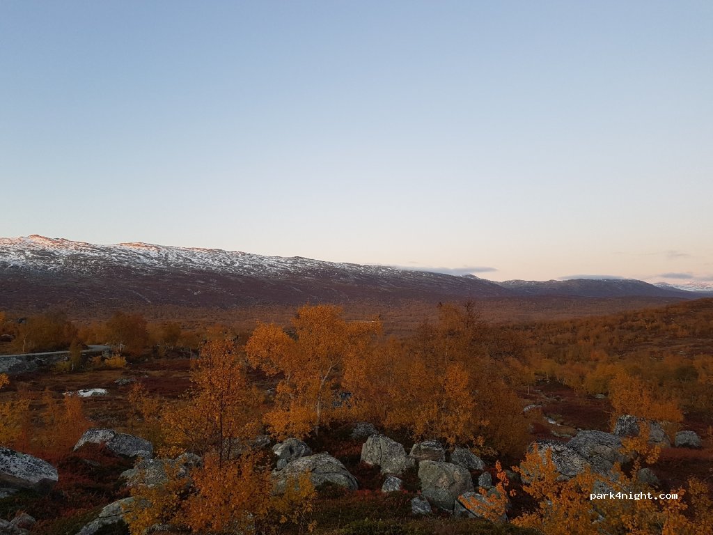 (2695)  - 1 Primær Fylkesveg 258 — foto 2