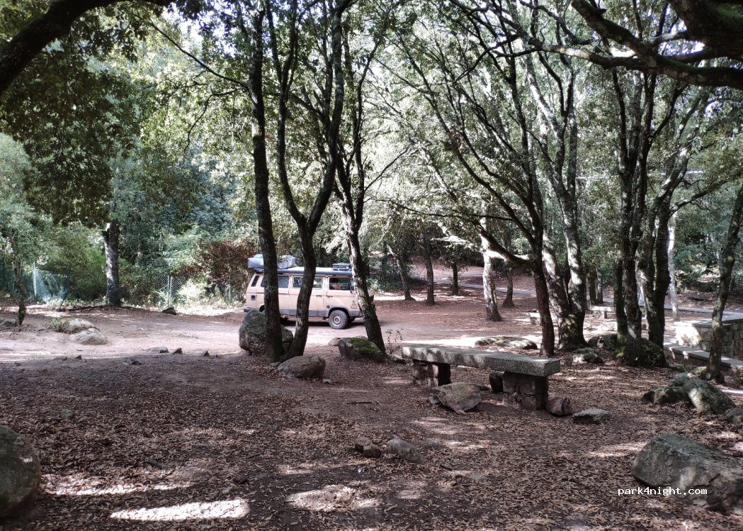 (08100) Nuoro - 1 Localita' Farcana — foto 3