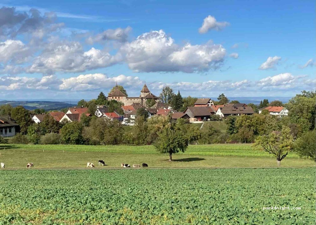 (8314) Kyburg - Allmendstrasse — foto