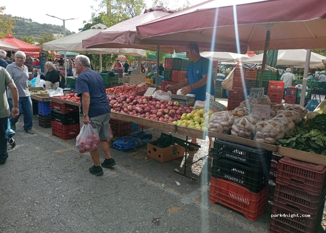 (241 00) Kalamata - 87 Nedontos — foto