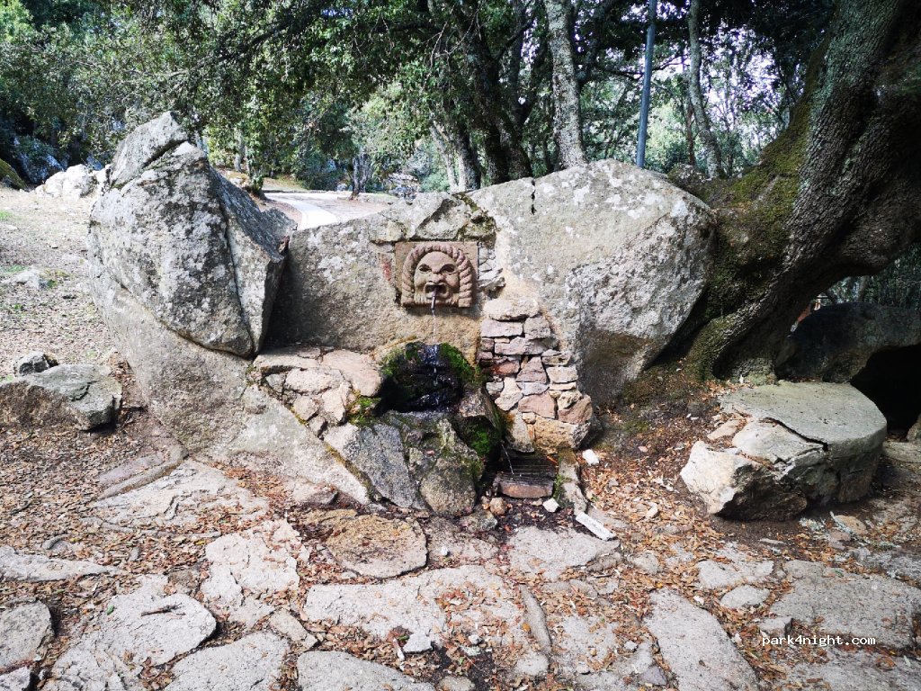 (08100) Nostra Signora De Su Monte - — foto