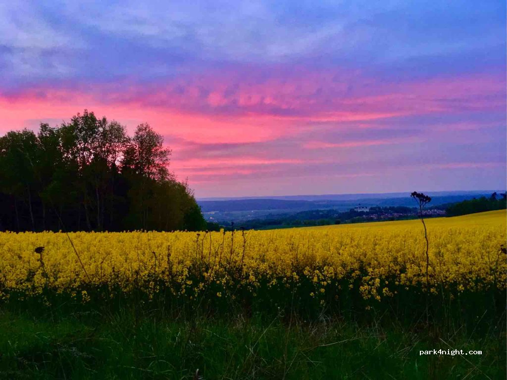 (07389) Schmorda - Unnamed Road — foto 2