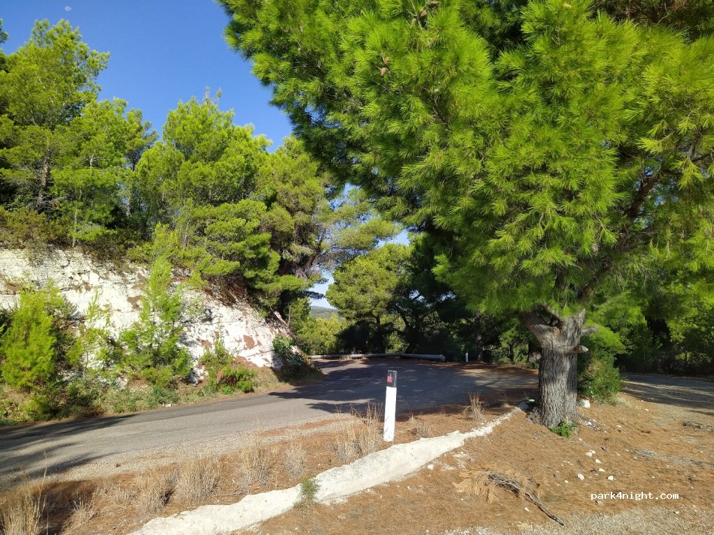 (71019) Vieste - Strada Provinciale 54 — foto
