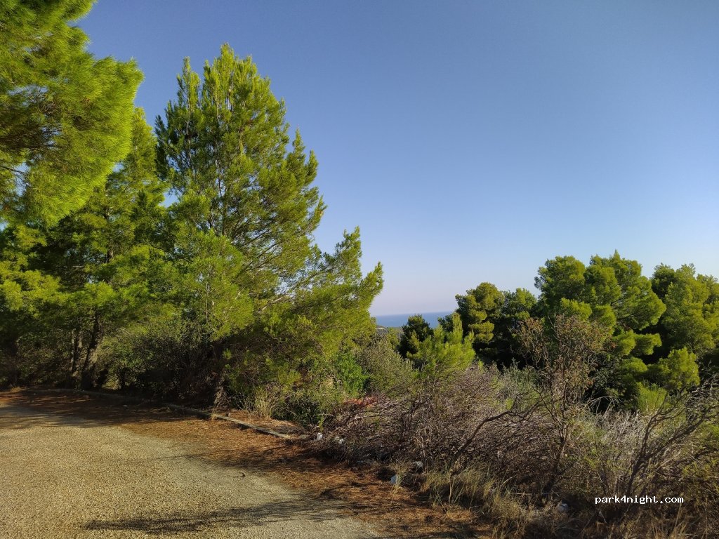 (71019) Vieste - Strada Provinciale 54 — foto 2
