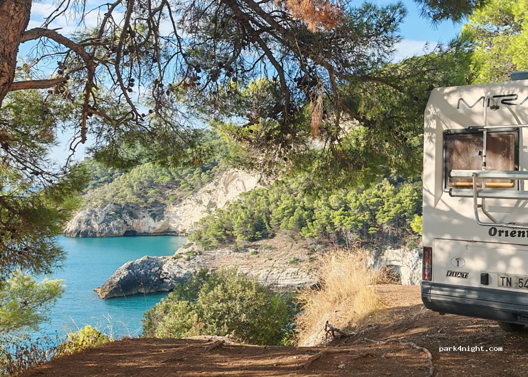 (71019) Vieste - Strada Provinciale 54 — foto 4