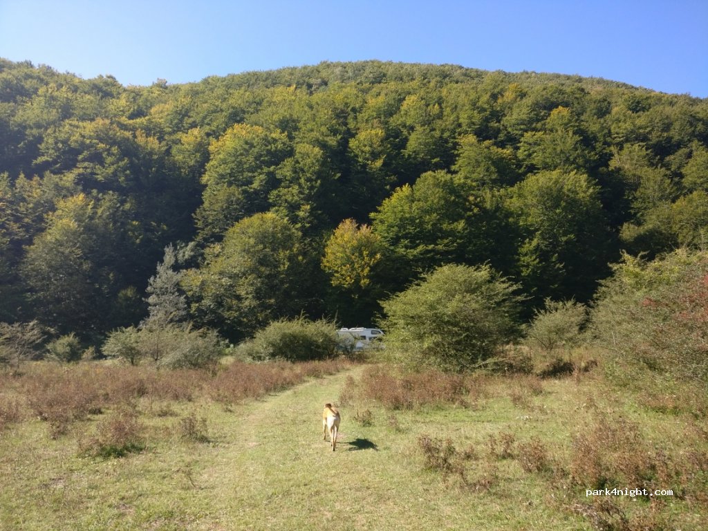 (81010) Castello del Matese - Strada Provinciale 181 — foto 2