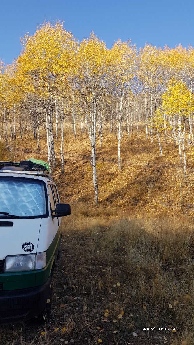 (25700)  - Erzurum Pazaryolu Yolu — foto