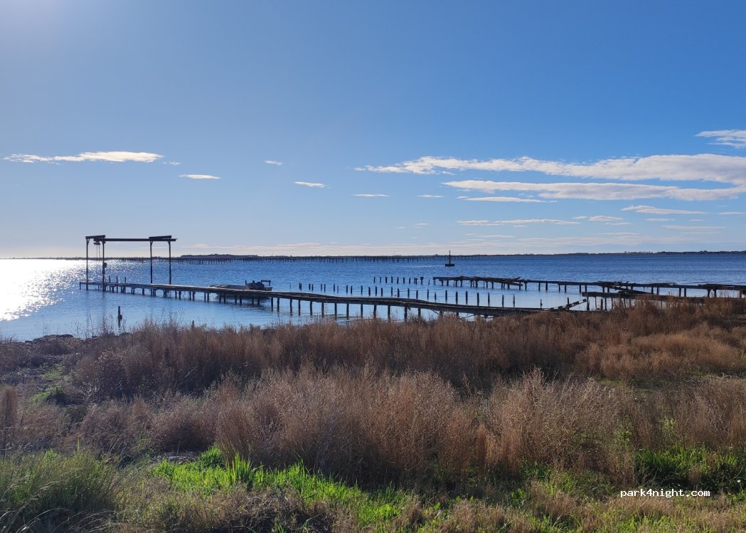 (34340) Marseillan - 8061F Route des Parcs — foto 4